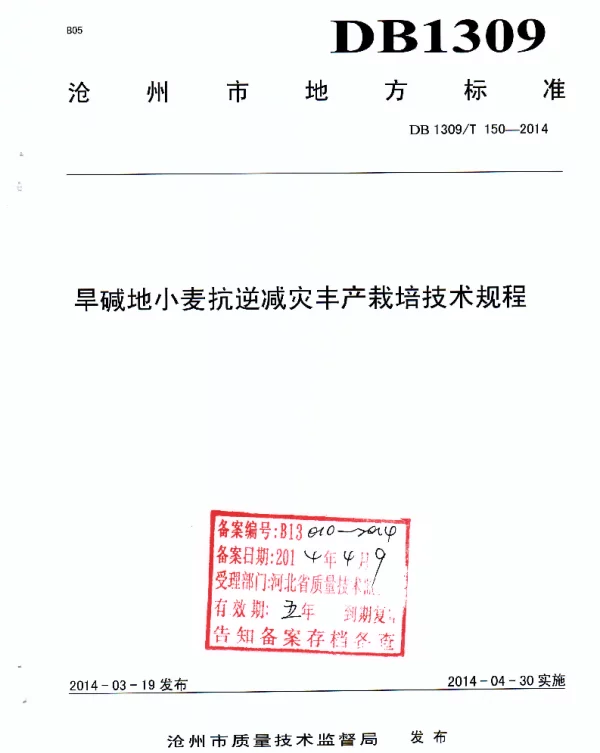 DB1309T 150-2014 旱碱地小麦抗逆减灾丰产栽培技术规程