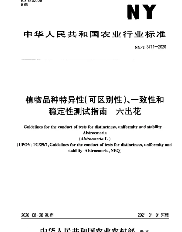 NYT 3711-2020 植物品种特异性（可区别性）、一致性和稳定性测试指南 六出花