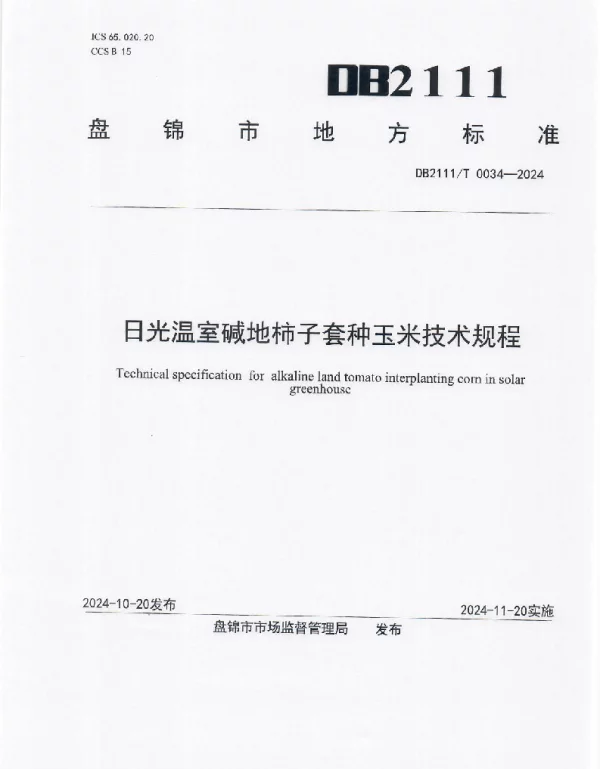 DB2111T 0034-2024 日光温室碱地柿子套种玉米技术规程