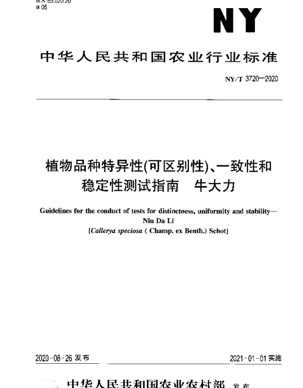 NYT 3720-2020 植物品种特异性（可区别性）、一致性和稳定性测试指南 牛大力