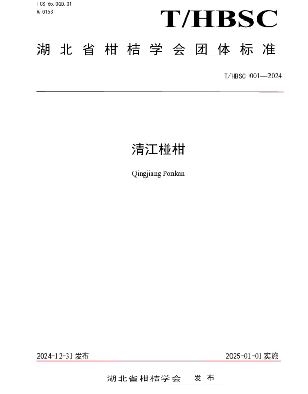 THBSC 001-2024 清江椪柑