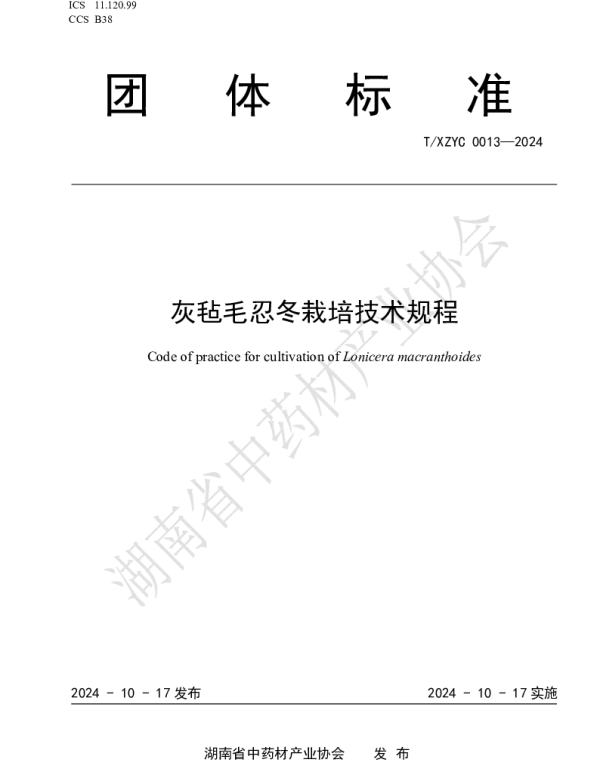 TXZYC 0013-2024 灰毡毛忍冬栽培技术规程
