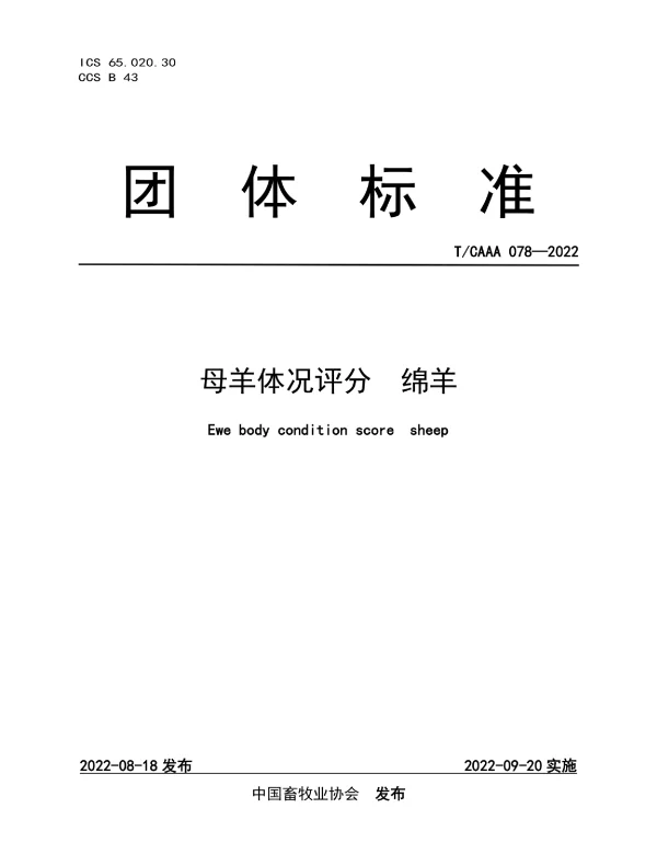 TCAAA 078-2022 母羊体况评分  绵羊
