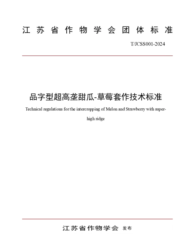 TJCSS 001-2024 品字型超高垄甜瓜-草莓套作技术标准