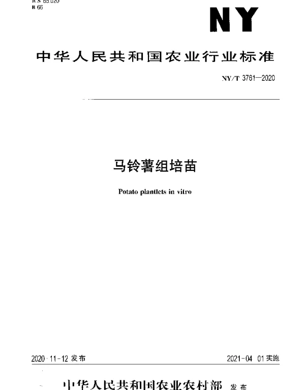 NYT 3761-2020 马铃薯组培苗