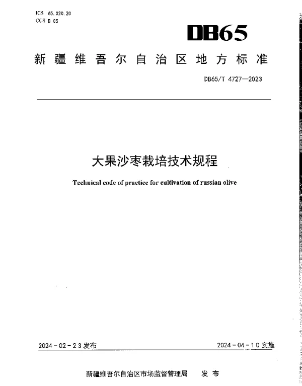 DB65T 4727-2023 大果沙枣栽培技术规程