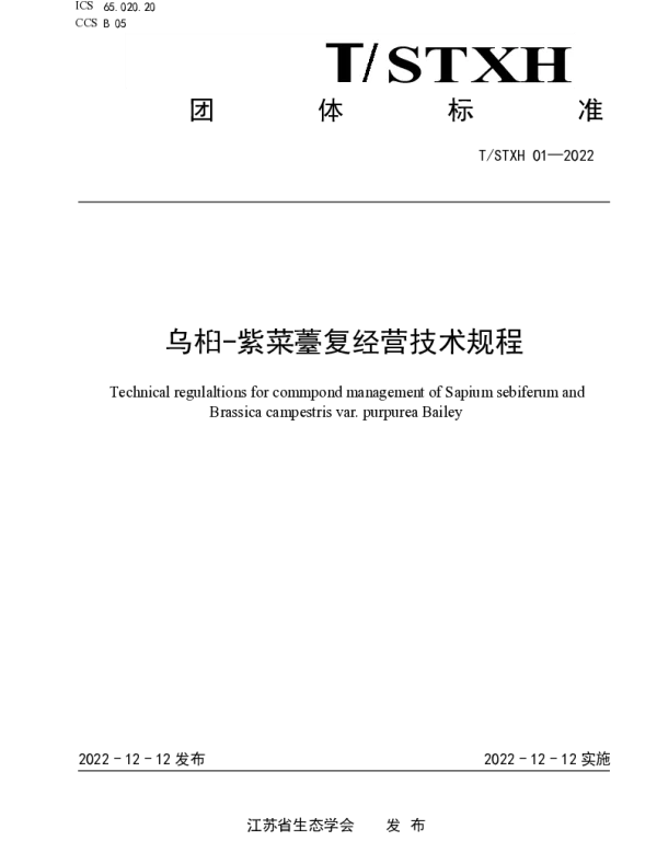 TSTXH 01-2022 乌桕-紫菜薹复合经营技术规程