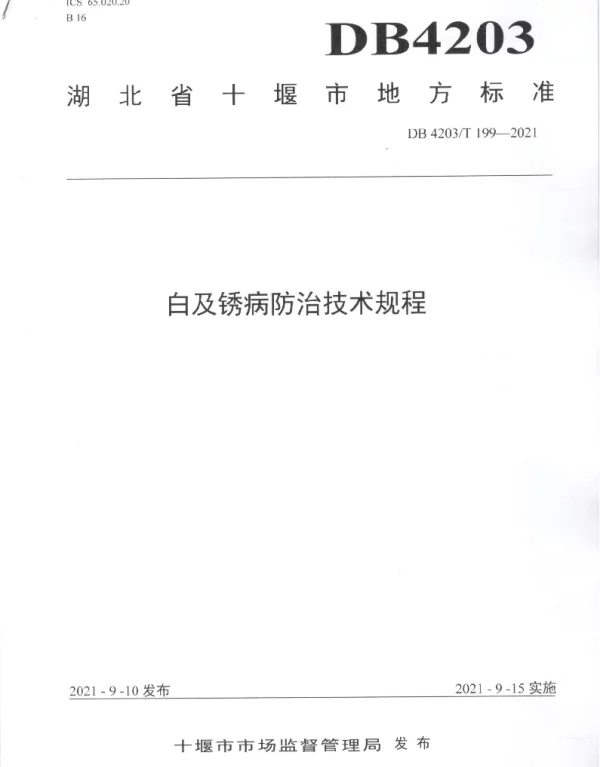 DB4203T 199-2021 白及锈病防治技术规程
