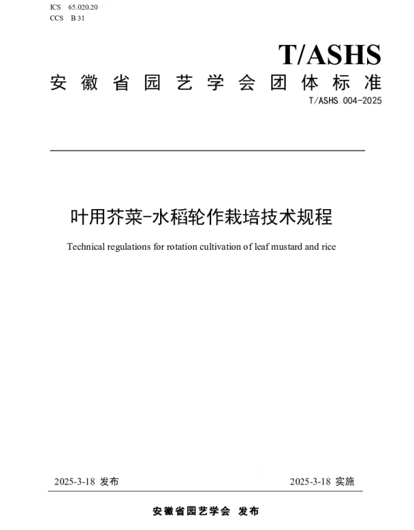 TASHS 004-2025 叶用芥菜-水稻轮作栽培技术规程