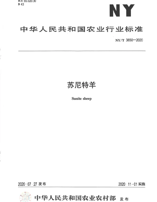 NYT 3650-2020 苏尼特羊