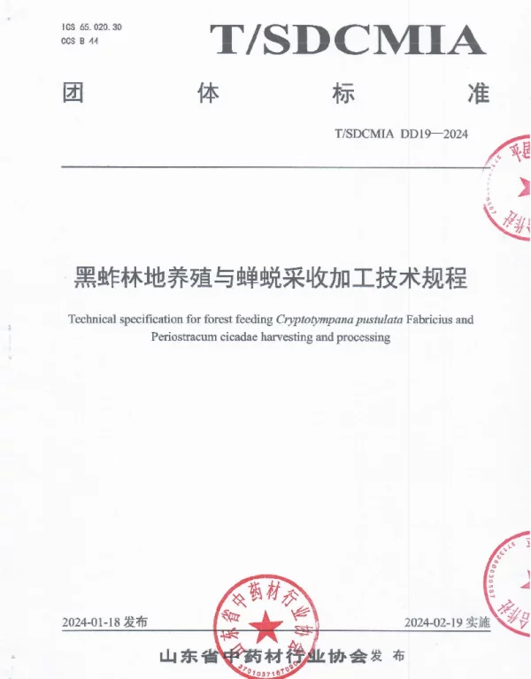 TSDCMIA DD19-2024 黑蚱林地养殖与蝉蜕采收加工技术规程
