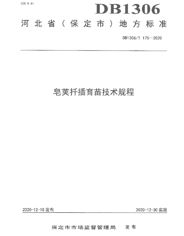 DB1306T 175-2020 皂荚扦插育苗技术规程