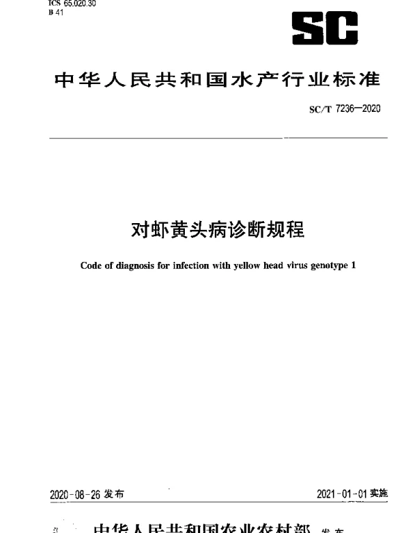 SCT 7236-2020 对虾黄头病诊断规程