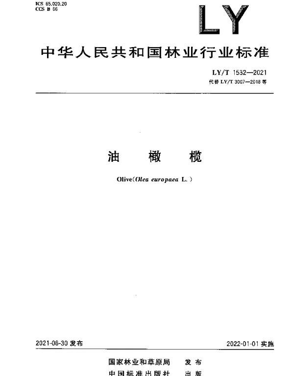 LYT 1532-2021 油橄榄