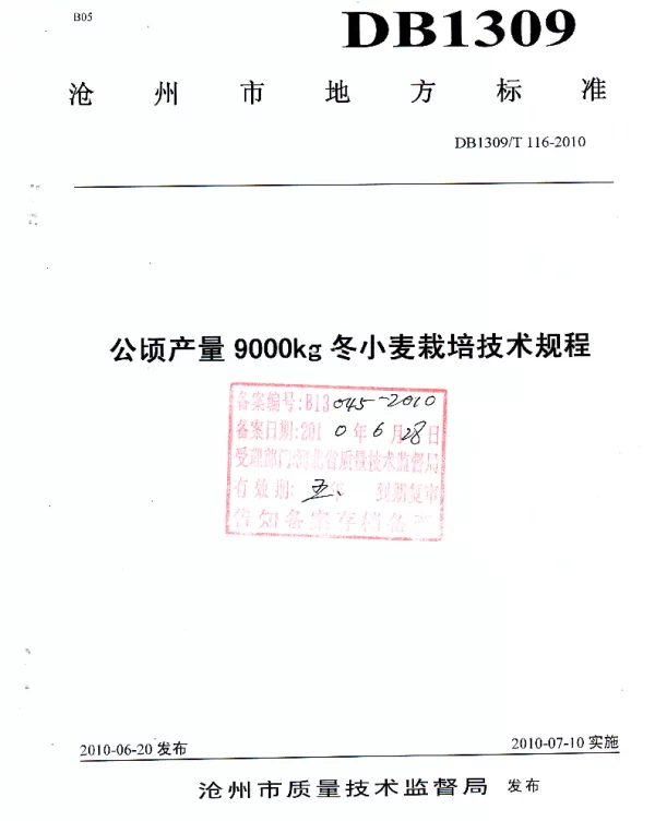 DB1309T 116-2010 公顷产量9000kg冬小麦栽培技术规程