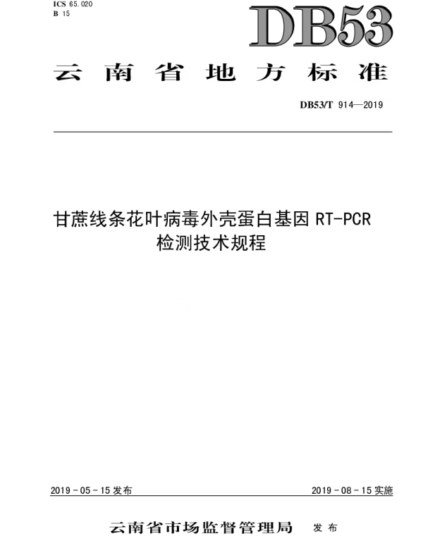 DB53T 914-2019 甘蔗线条花叶病毒外壳蛋白基因RT-PCR检测技术规程