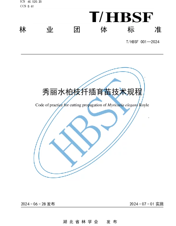 THBSF 001-2024 秀丽水柏枝扦插育苗技术规程
