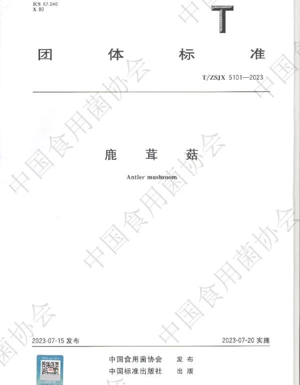 TZSJX 5101-2023 鹿茸菇