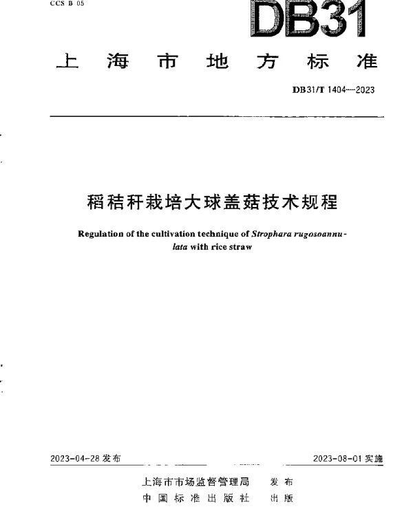 DB31T 1404-2023 稻秸秆栽培大球盖菇技术规程