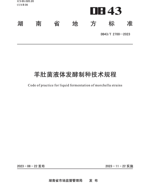 DB43T 2700-2023 羊肚菌液体发酵制种技术规程