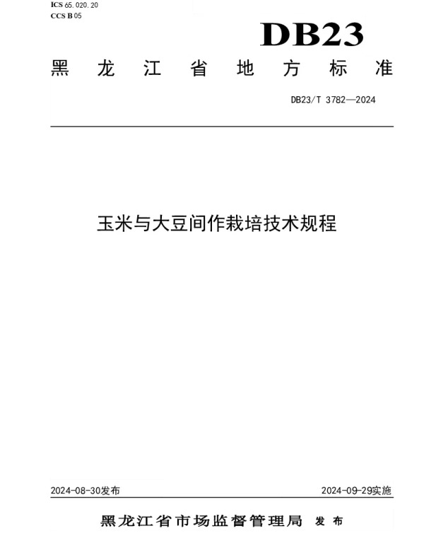 DB23T 3782—2024 玉米与大豆间作栽培技术规程