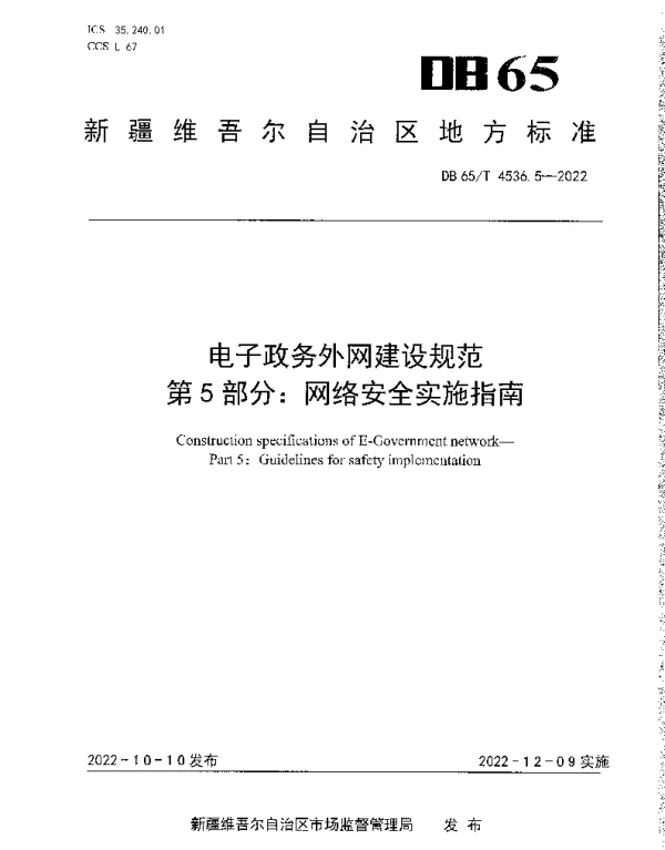 DB65T 4536.5—2022 电子政务外网建设规范第5部分：网络安全实施指南