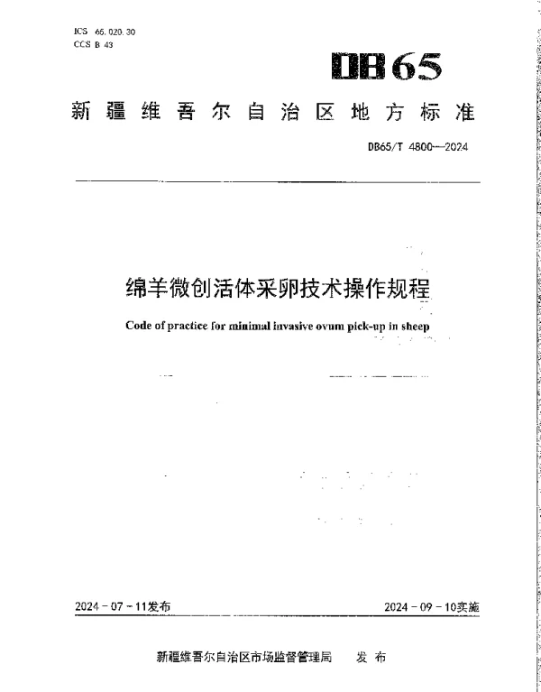 DB65T 4800-2024 绵羊微创活体采卵技术操作规程