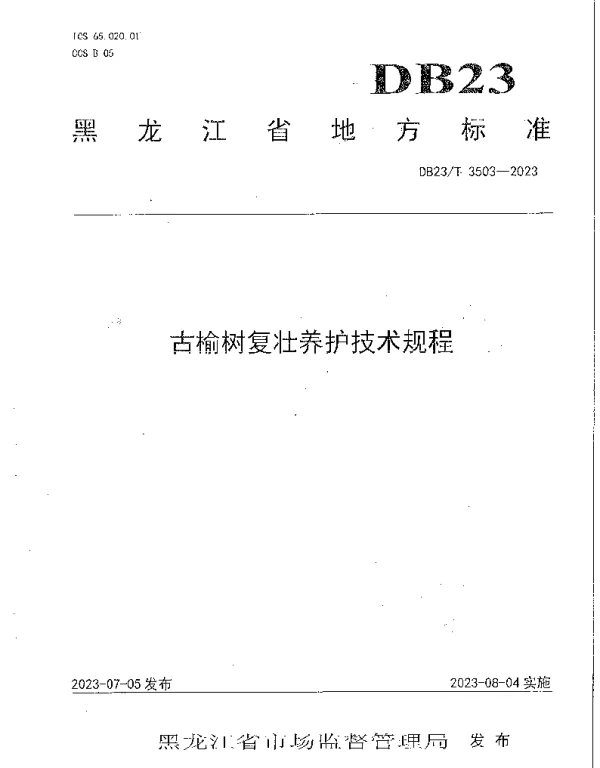 DB23T 3503—2023 古榆树复壮养护技术规程