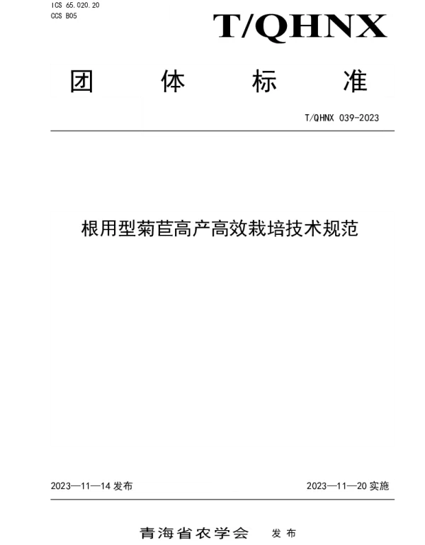 TQHNX 039-2023 根用型菊苣高产高效栽培技术规范