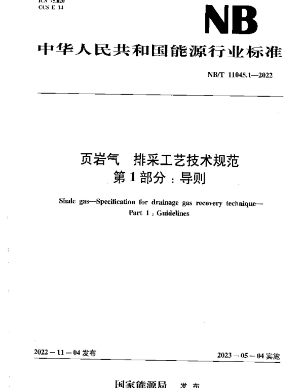 NBT 11045.1-2022 页岩气 排采工艺技术规范第1部分：导则