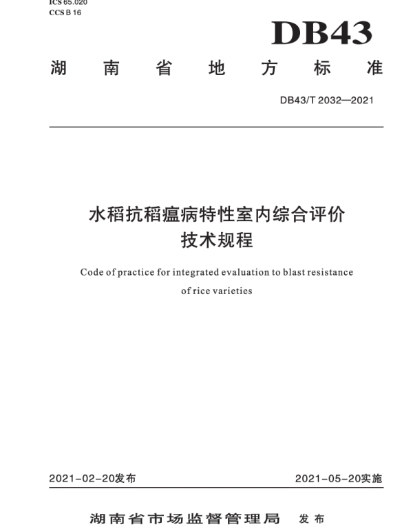 DB43T 2032-2021 水稻抗稻瘟病特性室内综合评价技术规程