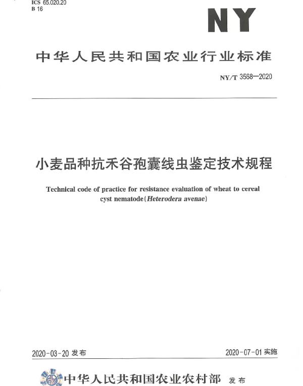 NYT 3568-2020 小麦品种抗禾谷孢囊线虫鉴定技术规程