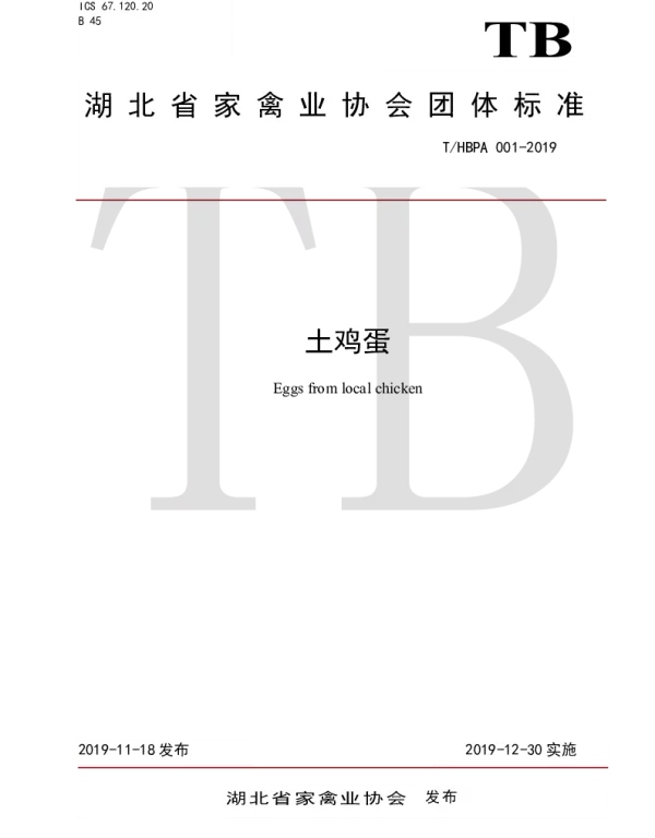 THBPA 001-2019 土鸡蛋
