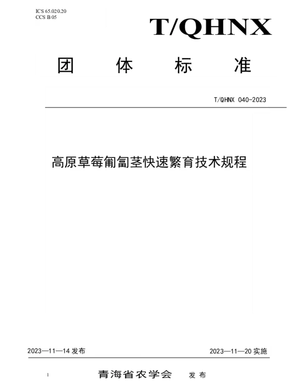 TQHNX 040-2023 高原草莓匍匐茎快速繁育技术规程