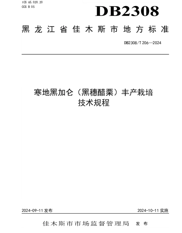 DB2308T 206-2024 寒地黑加仑（黑穗醋栗）丰产栽培技术规程