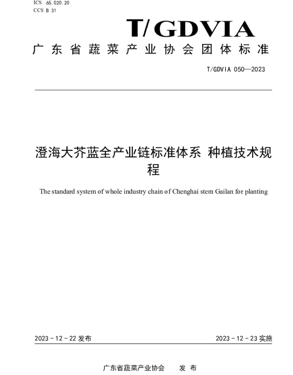TGDVIA 050-2023 澄海大芥蓝全产业链标准体系 种植技术规程