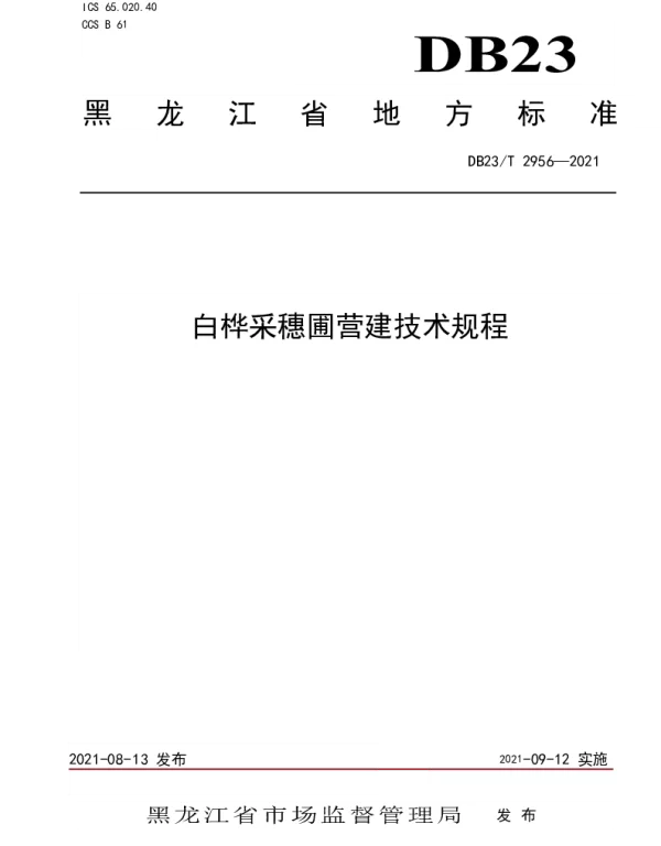 DB23T 2956—2021 白桦采穗圃营建技术规程