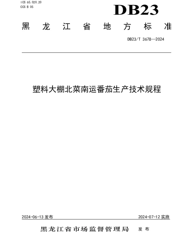 DB23T 3678—2024 塑料大棚北菜南运番茄生产技术规程