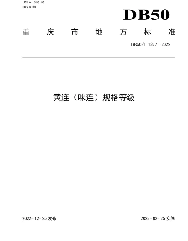 DB50T 1327-2022 黄连（味连）规格等级