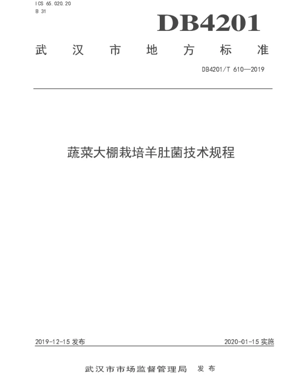 DB4201T 610-2019 蔬菜大棚栽培羊肚菌技术规程