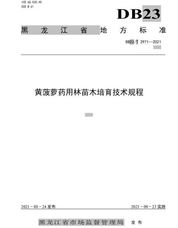 DB23T 2971—2021 黄菠萝药用林苗木培育技术规程