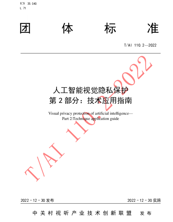 TAI 110.2-2022 人工智能视觉隐私保护 第 2 部分：技术应用指南