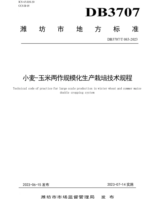 DB3707T 083—2023 小麦-玉米两作规模化生产栽培技术规程