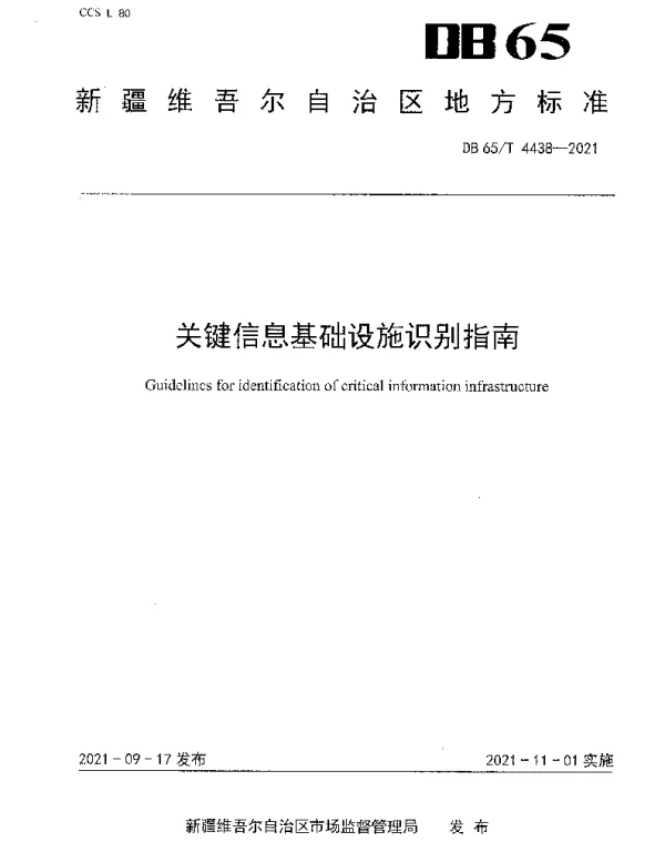 DB65T 4438-2021 关键信息基础设施识别指南