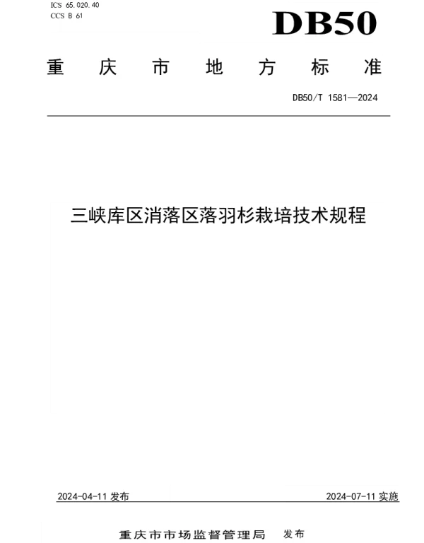 DB50T 1581-2024 三峡库区消落区落羽杉栽培技术规程