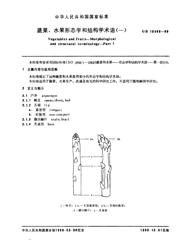 GB 10466-1989 蔬菜、水果形态学和结构学术语（一）