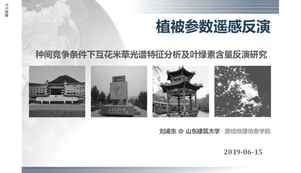 植被参数遥感反演种间竞争条件下互花米草光谱特征分析及叶绿素含量反演研究