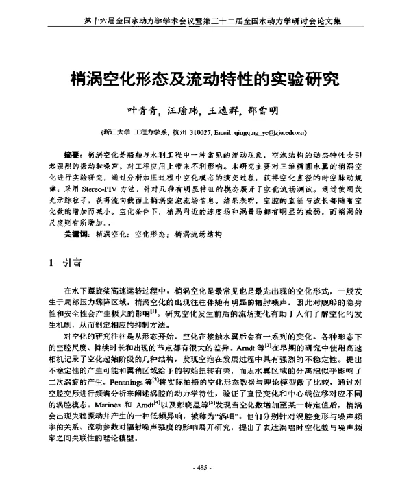 梢涡空化形态及流动特性的实验研究
