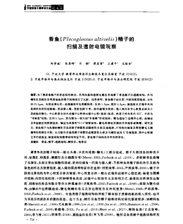 香鱼(Plecoglossusaltivelis)精子的扫描及透射电镜观察