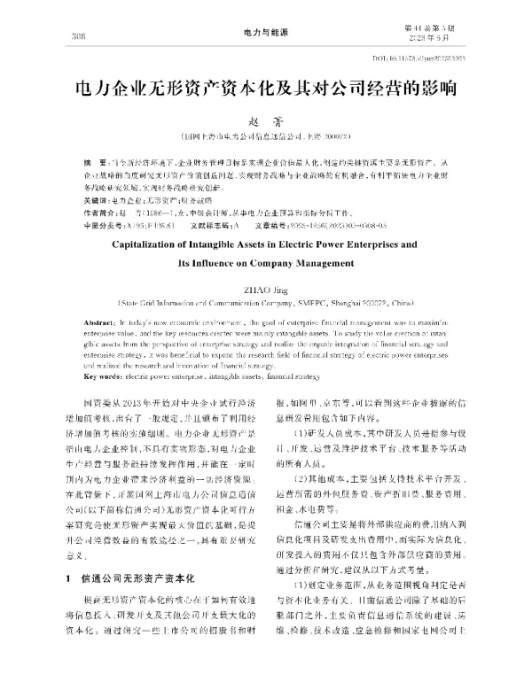 电力企业无形资产资本化及其对公司经营的影响